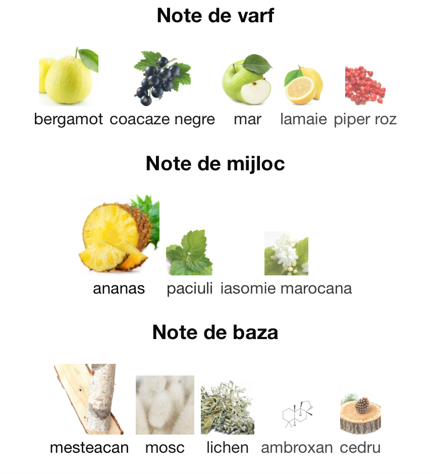 Celestial 3ml - ulei de parfum (inspiratie Aventus by Creed) - O B S I D I O N