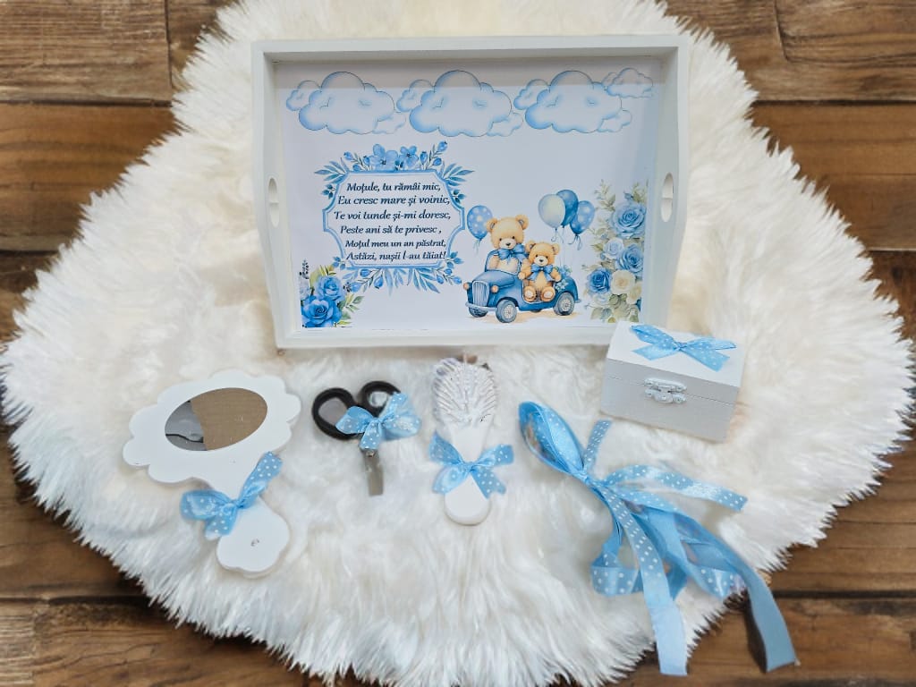 Tavita mot turta print colorata - baby blue teddy car - O B S I D I O N