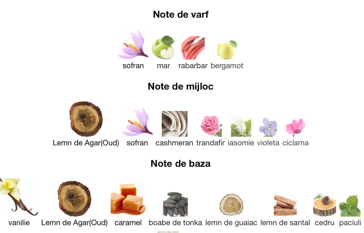 Vanilla Oud 3ml - ulei de parfum (inspiratie Vanilla Oud by Vertus) - O B S I D I O N