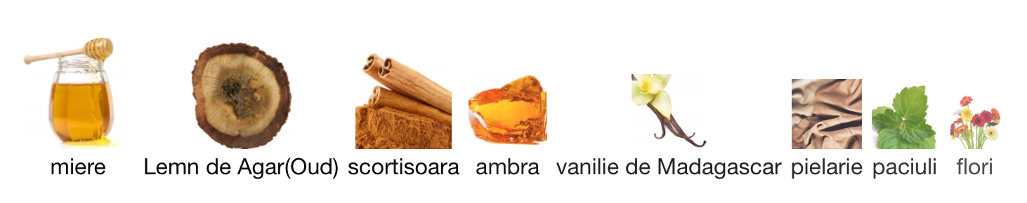 Honey Aoud 3ml - ulei de parfum (inspiratie Honey Aoud by Montele) - O B S I D I O N